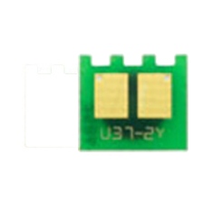U37-2CHIP-Y10.jpg